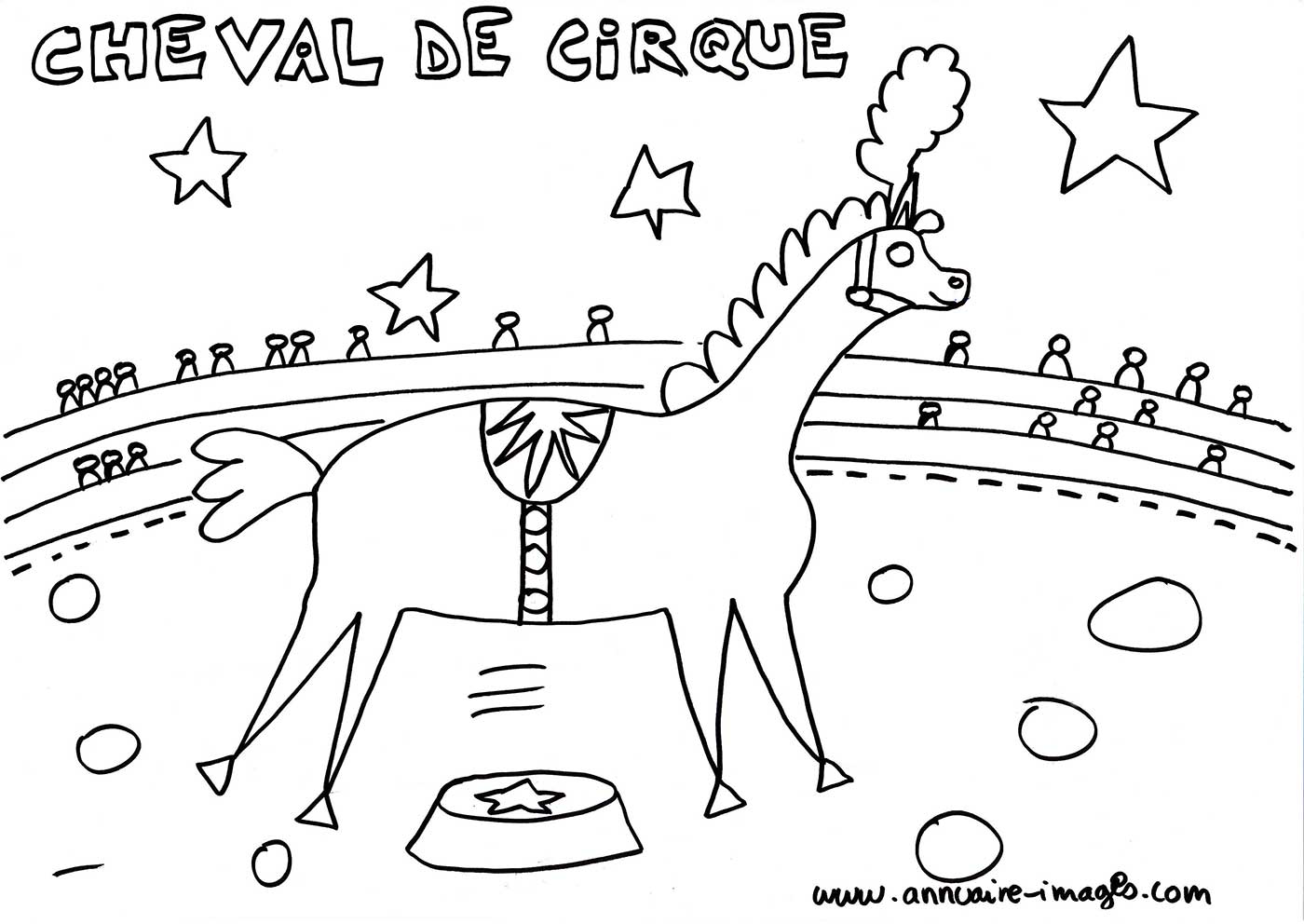 Cheval de cirque