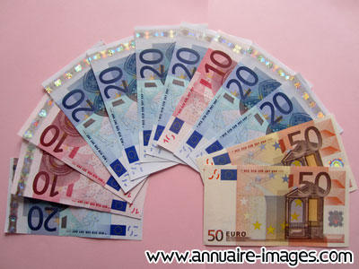 Billets d'euros en éventail