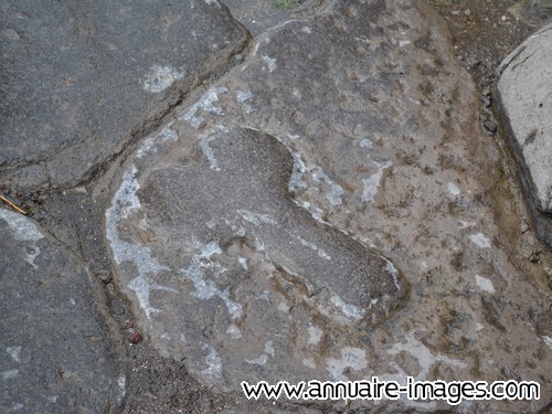 Pénis taillé dans la pierre du pavé de la rue à Pompéi.