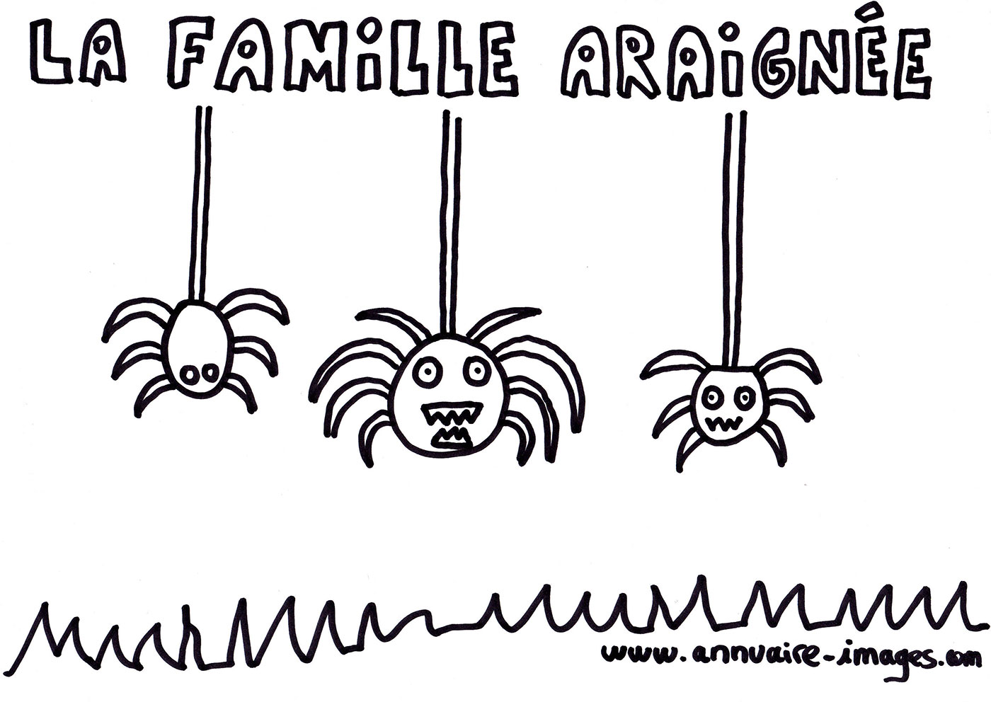 Famille araignée