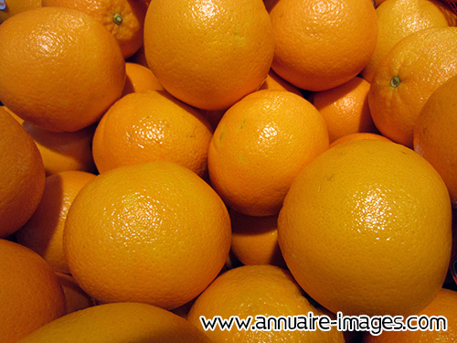 Oranges en gros plan