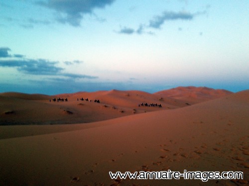 Dunes du désert marocain