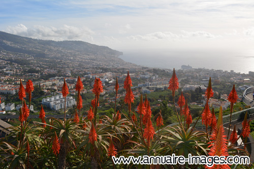 Funchal, capitale de Madère