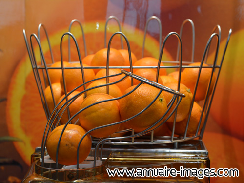 Panier à oranges pour presse-agrumes